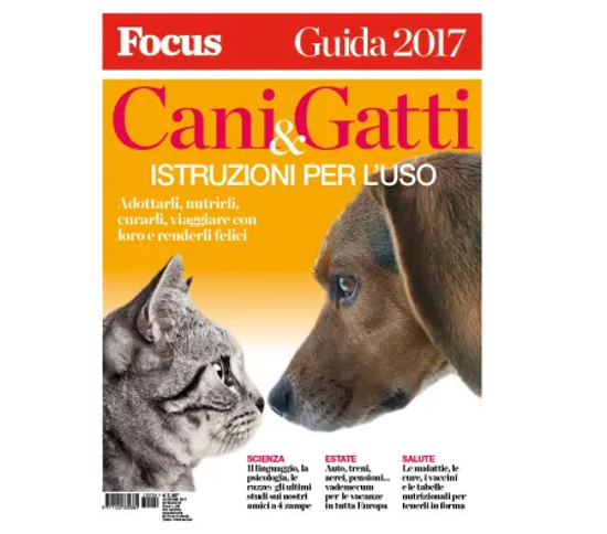 Immagine di FOCUS 2018/11